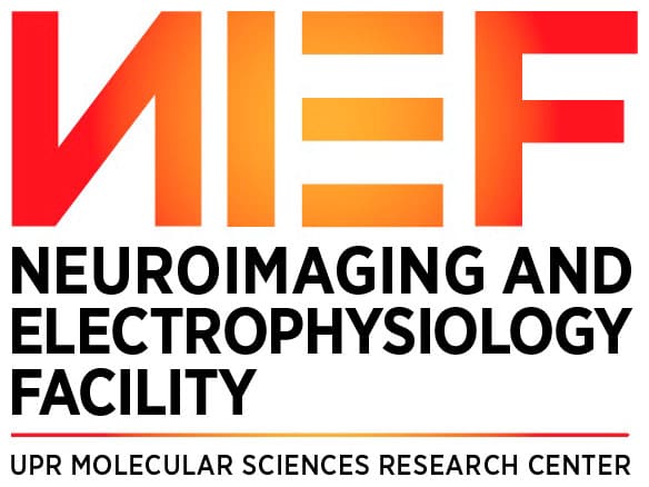 nief-logo-base nief-logo-base