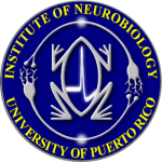 Institute of neurobiology