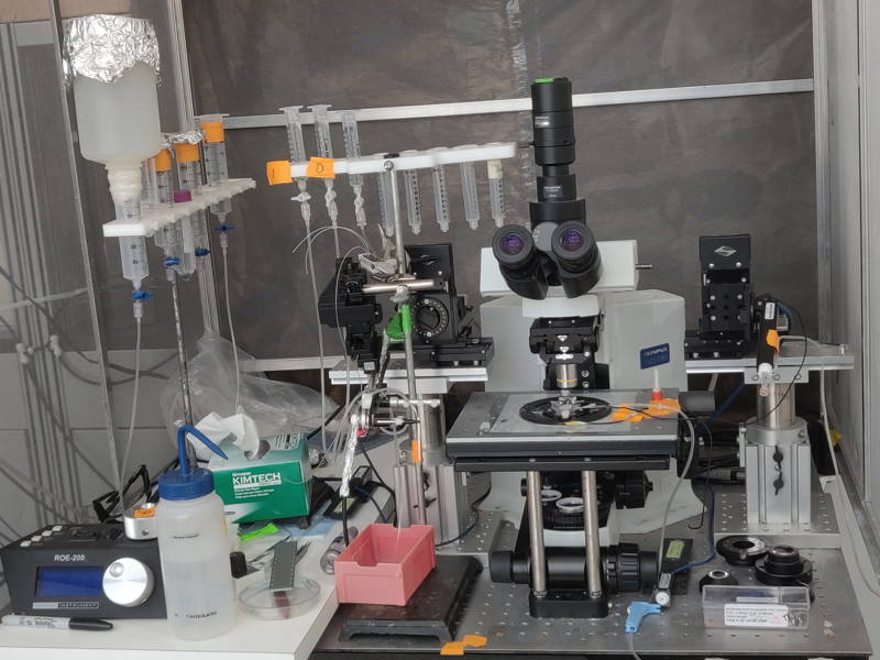 Sharp Electrodes Intracellular Recording Rig