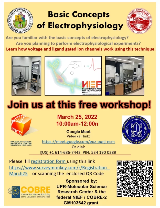 v2Flyer Basic Concepts Electrophysiology 2022_page-0001