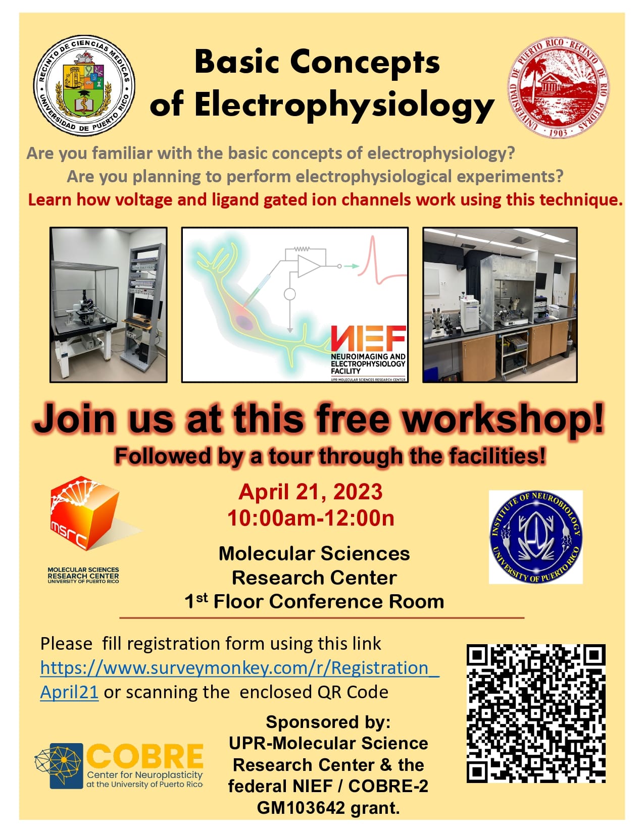 v3Flyer Basic Concepts Electrophysiology 2023_page-0001