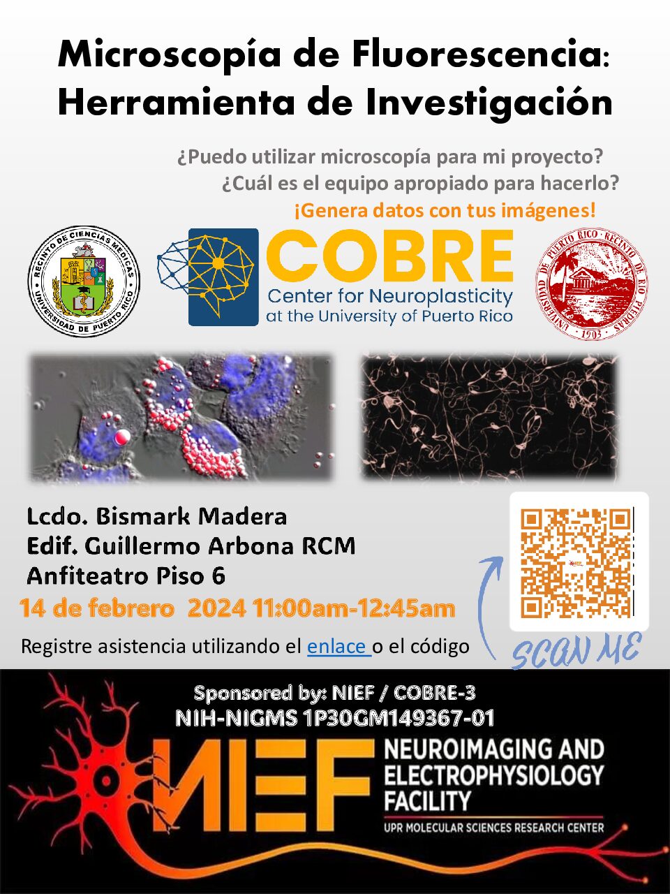 Flyer Microscopia de Fluorescencia Herramienta de Investigacion Febrero 14 2024