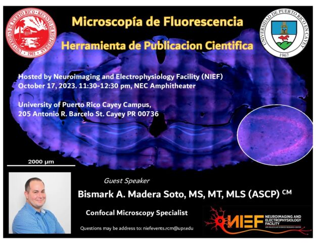 Flyer Seminario Cayey 2023