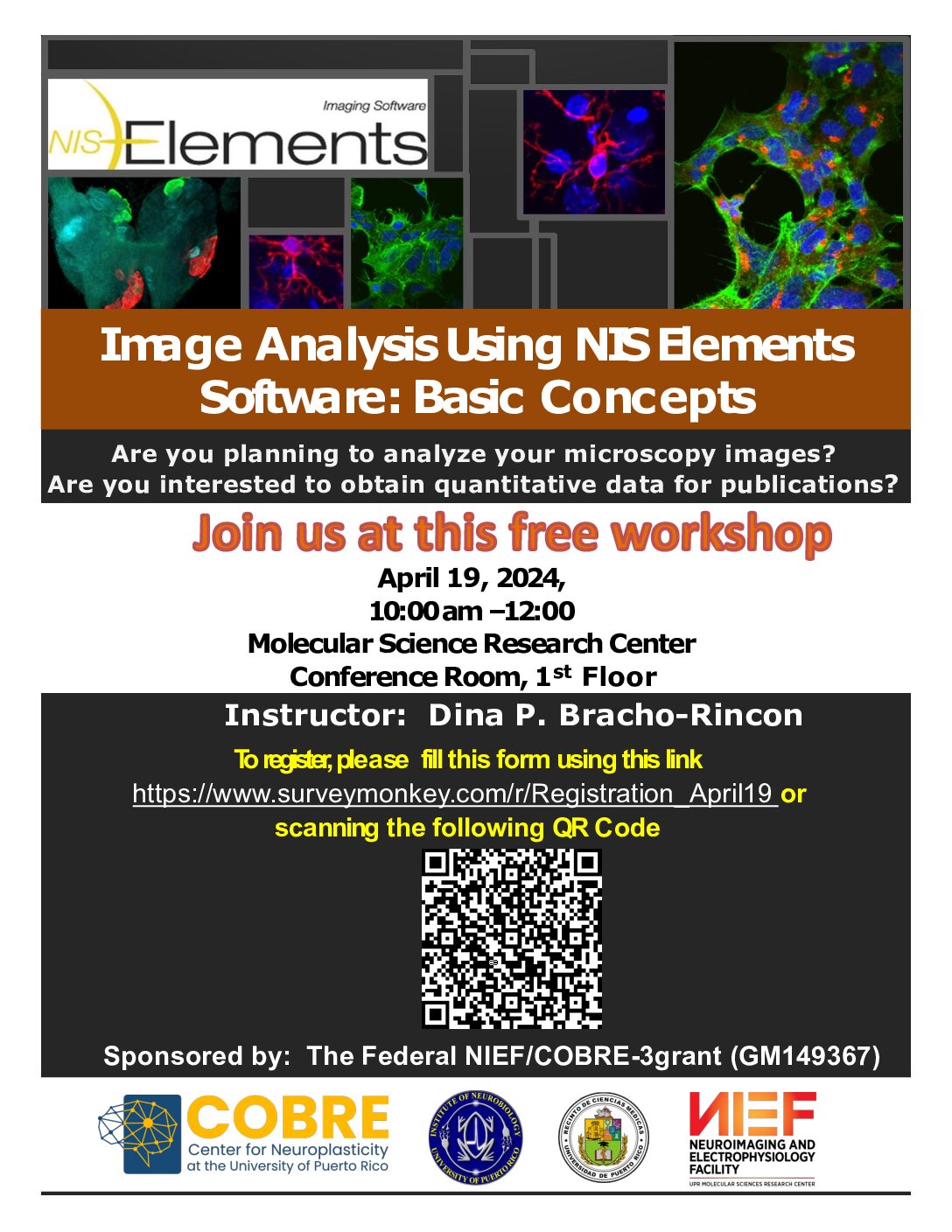 v1Flyer Image Analysis 2024