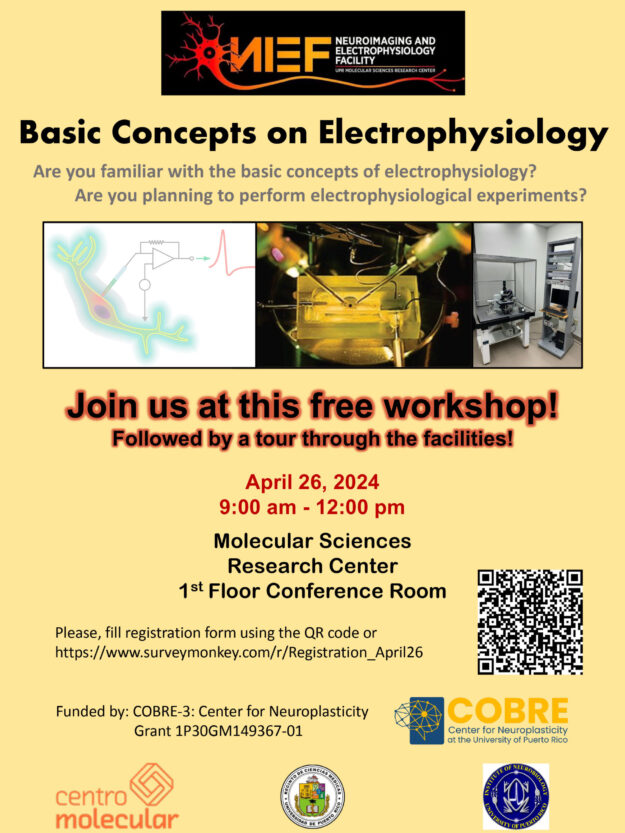 v3Flyer-Basic-Concepts-Electrophysiology-2024—CoopSEI