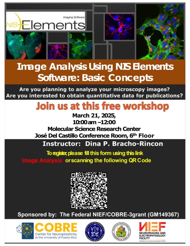 Image Analysis 2025_page-0001